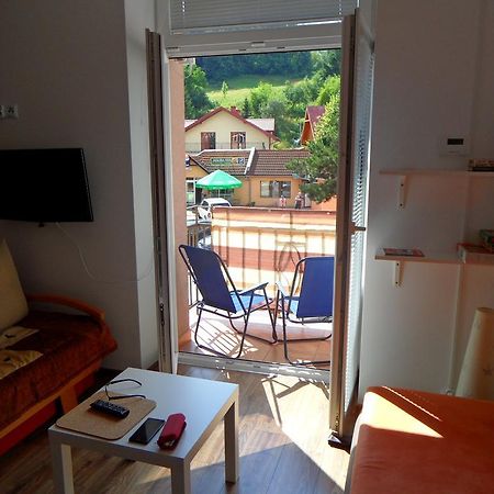 Apartament Kraszewskiego Krynica Zdroj Eksteriør billede